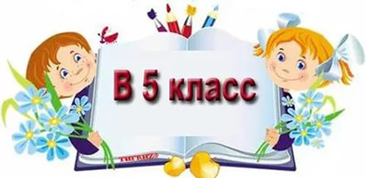 График проведения процедур конкурсного отбора в 5 класс.