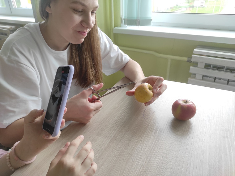 «Первая помощь, основы преподавания первой помощи, основы ухода за больными».